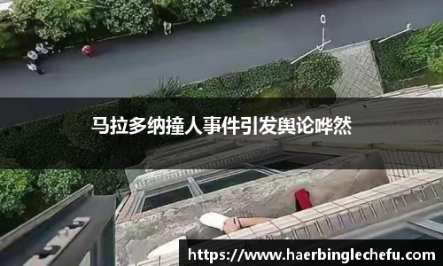 凤凰联盟