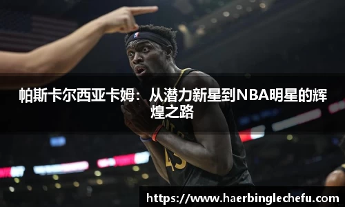 凤凰联盟app