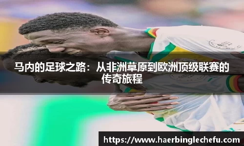 凤凰联盟