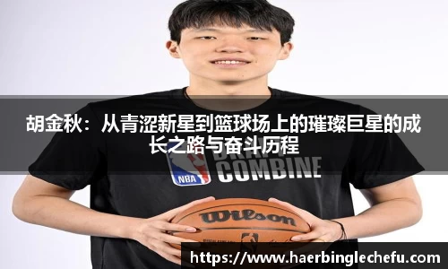 凤凰联盟