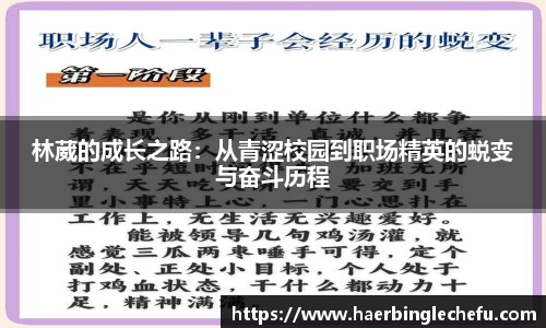 凤凰联盟平台