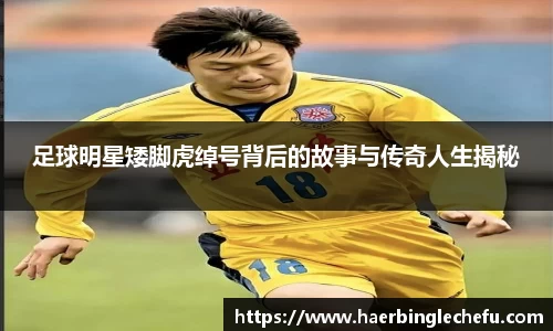 凤凰联盟首页官网