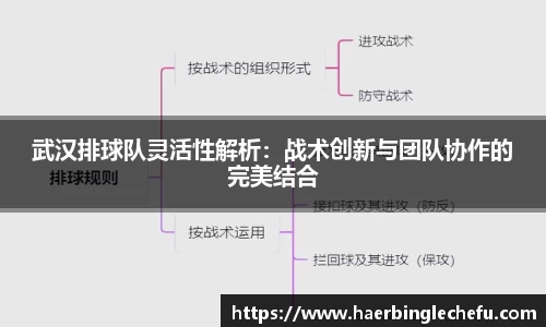 凤凰联盟app