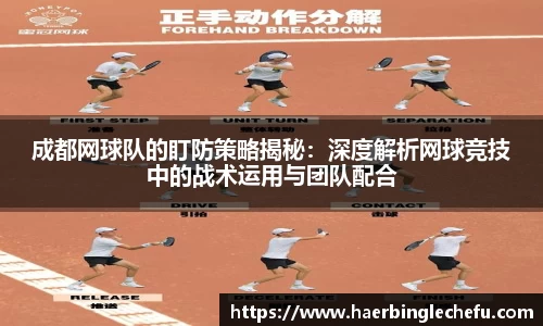 凤凰联盟首页官网